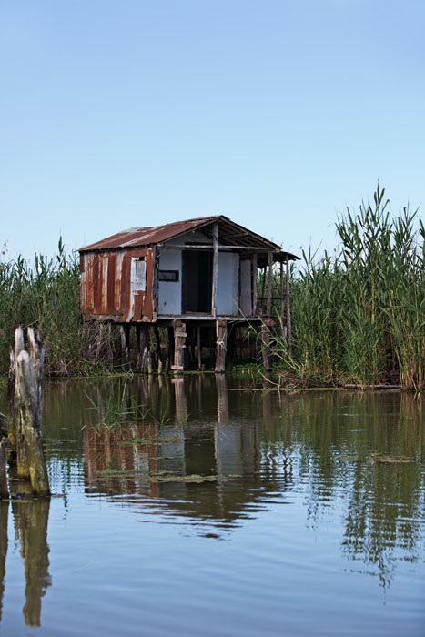 Anzali Lagoon