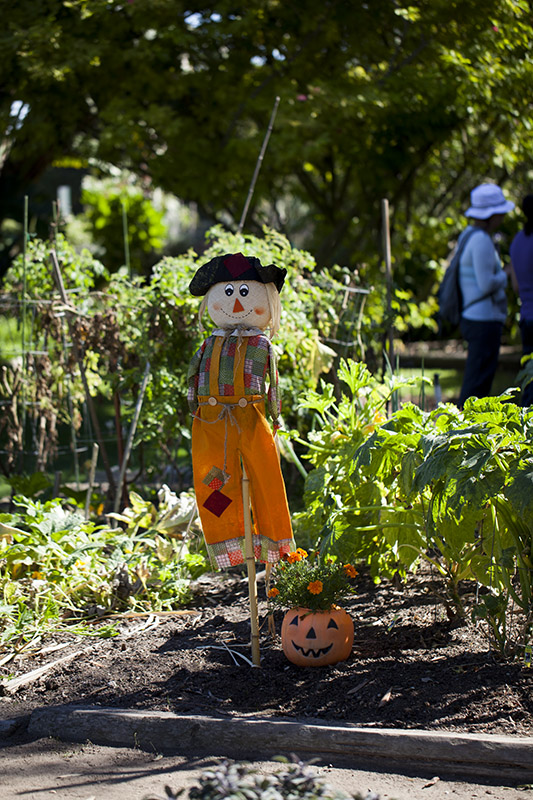 South Coast Botanic Garden
