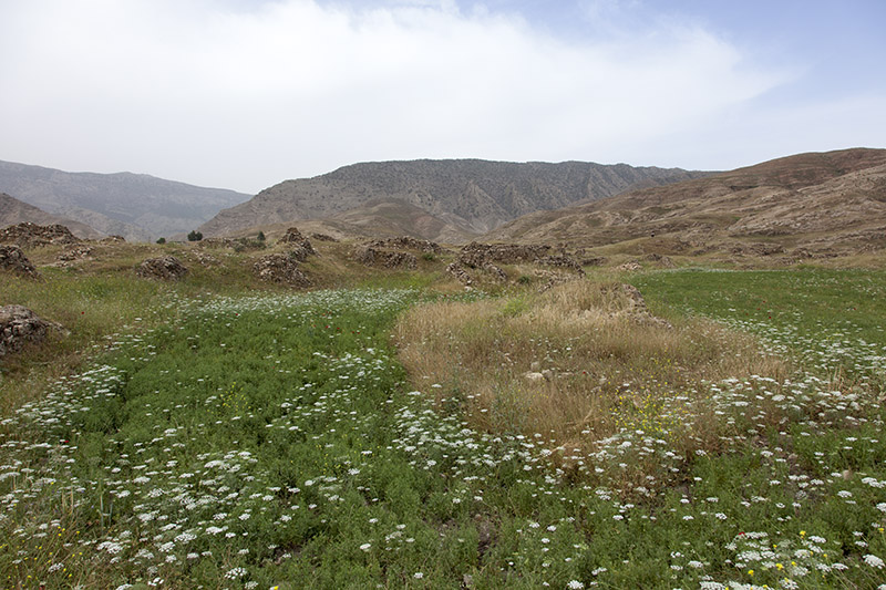 Seymareh ( Madakto )