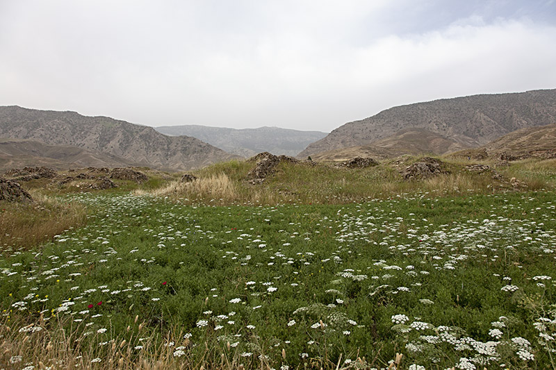 Ancient City of Seymareh (Madakto)