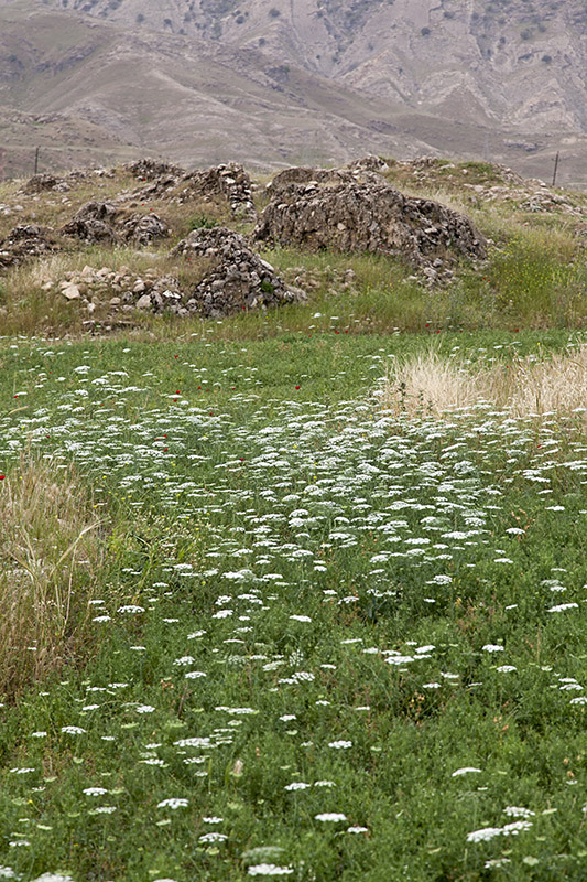 Ancient City of Seymareh (Madakto)