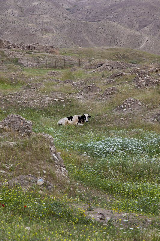 Ancient City of Seymareh (Madakto)