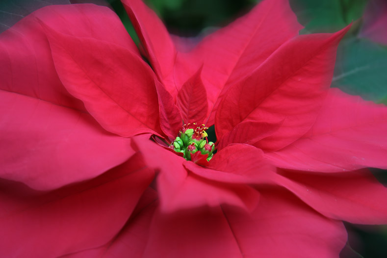 IMG_9914pr.jpg