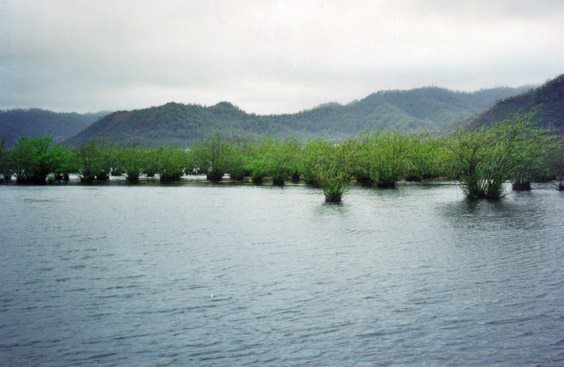 Astara Region