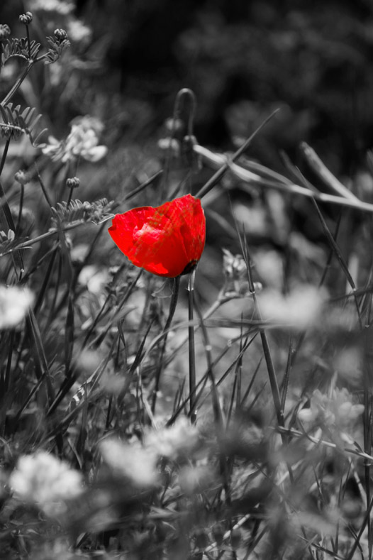 Selective color