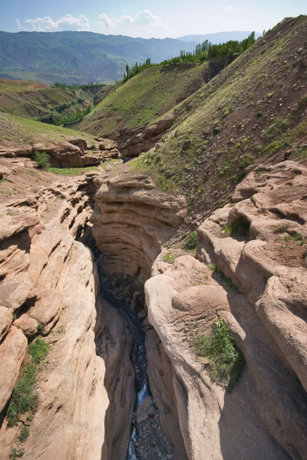 Alamut Region