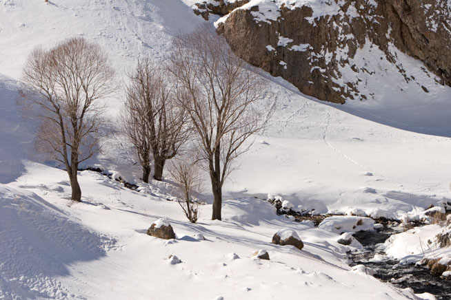 Dizin Region