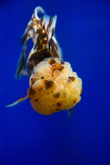 IMG_7367r.jpg