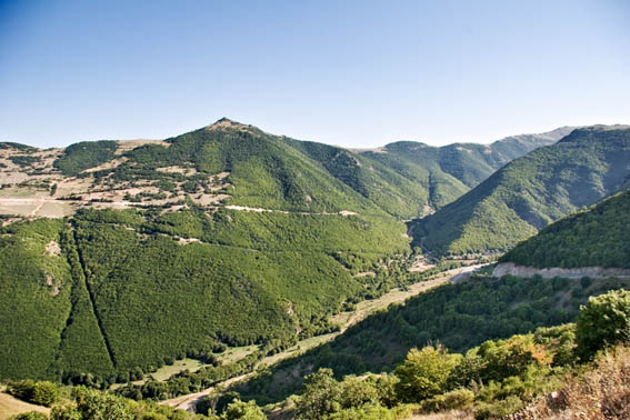 Arasbaran Forest