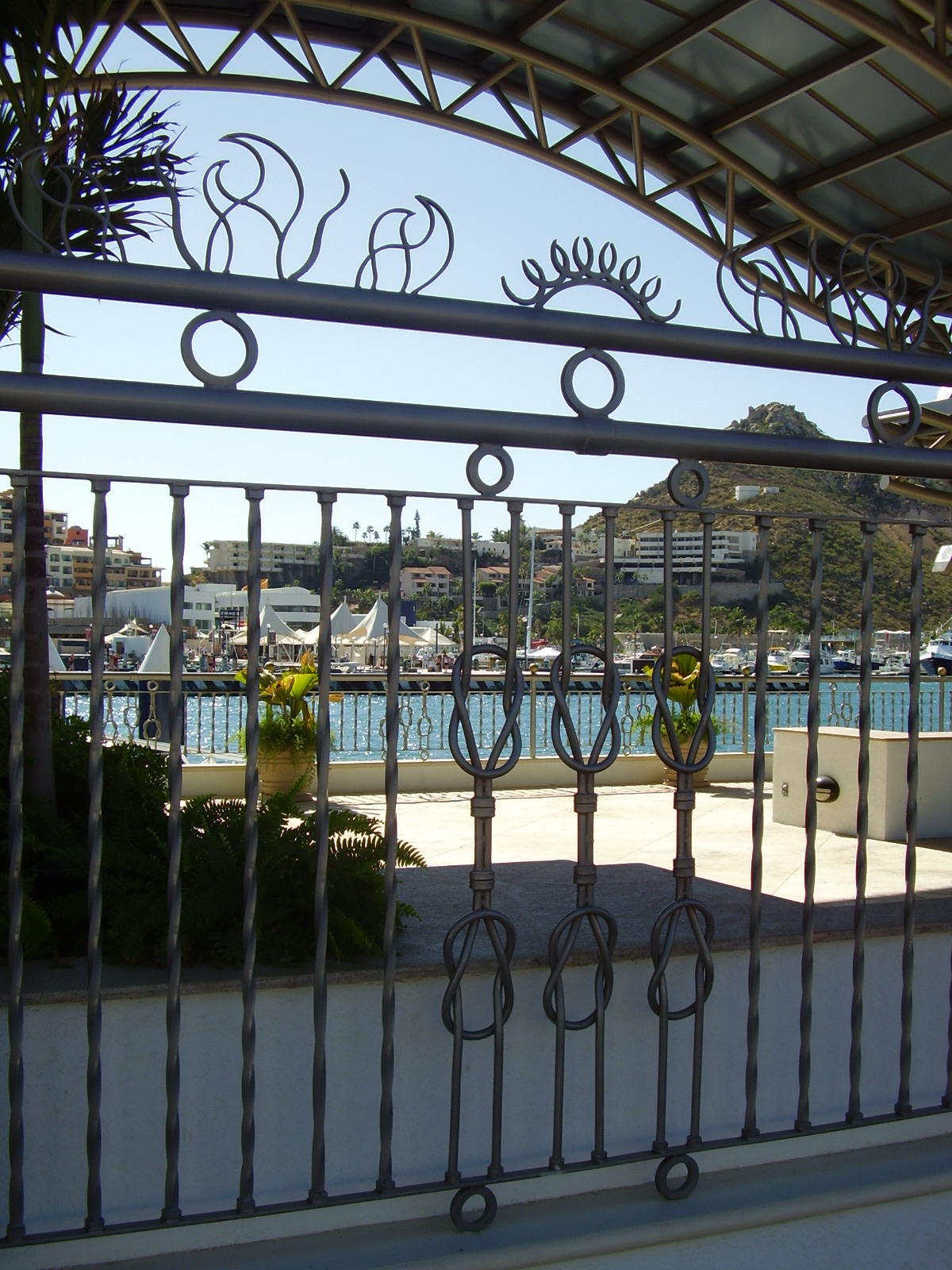PB030109.JPG