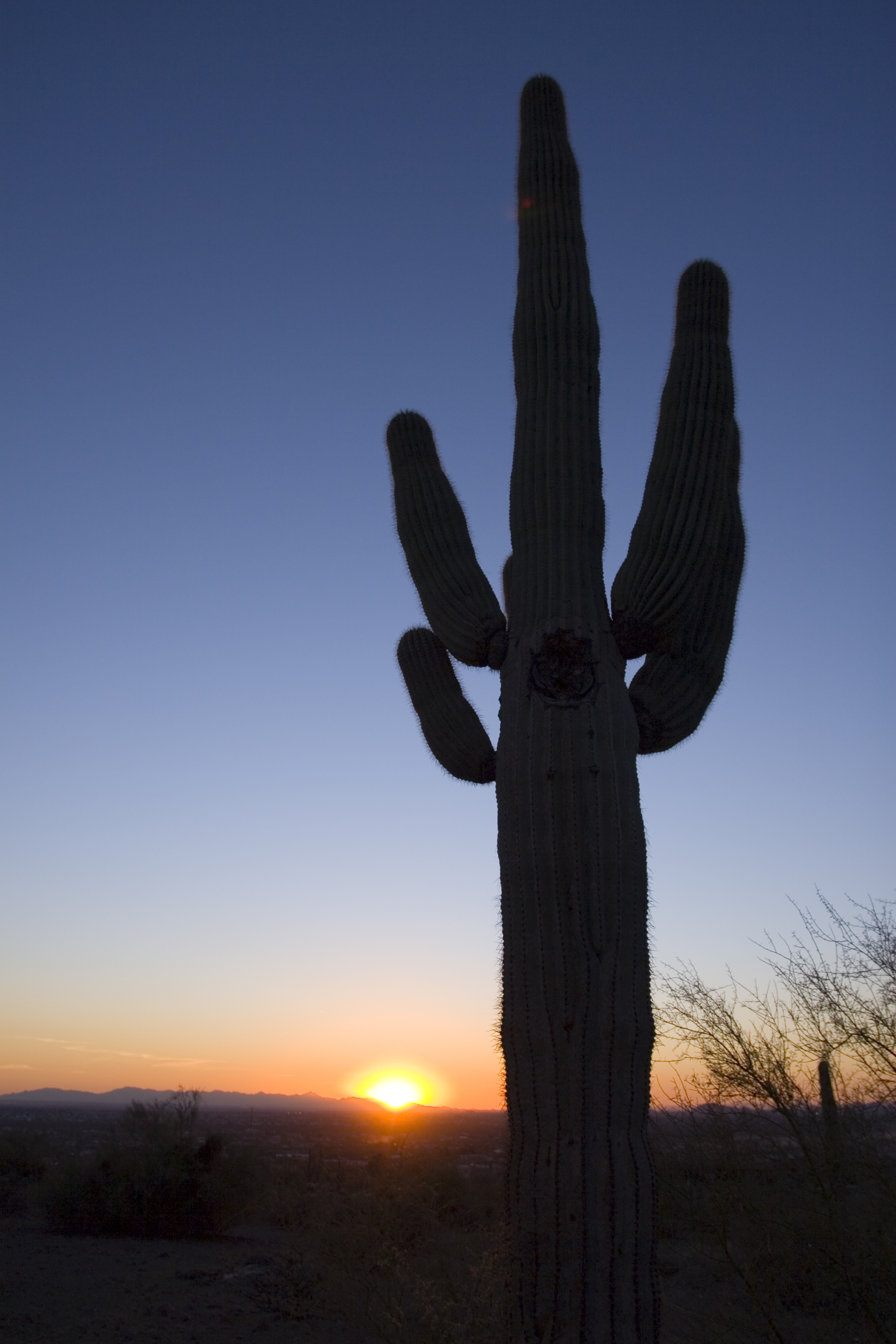 100 Mile Sunset