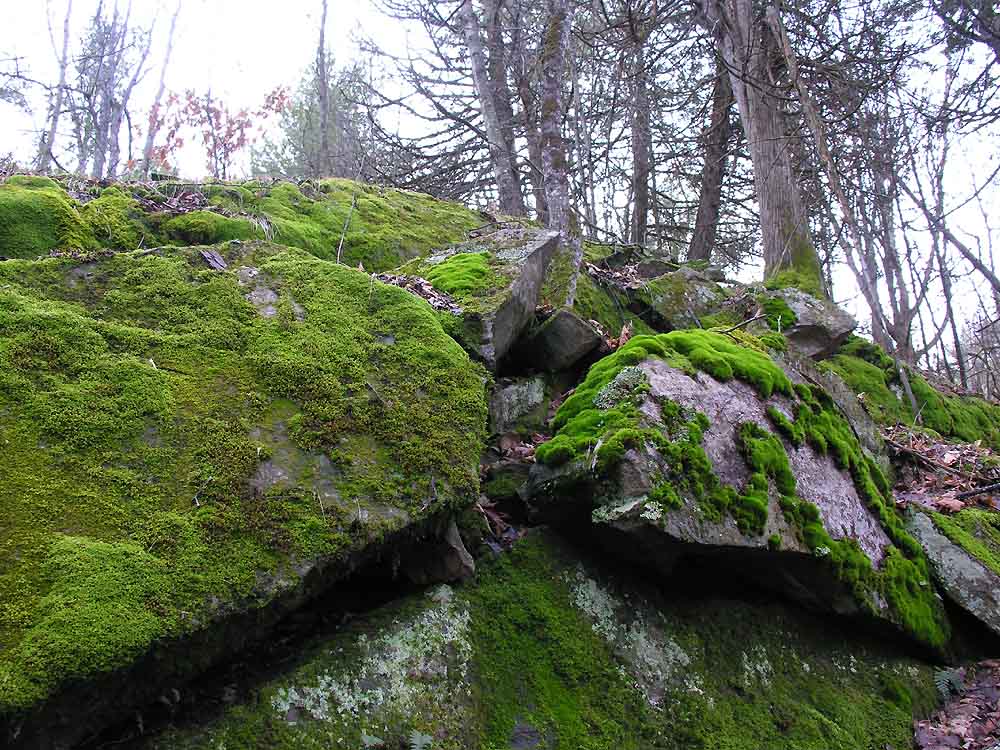 mossy rocks - 2