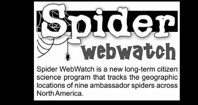 webwatch.jpg