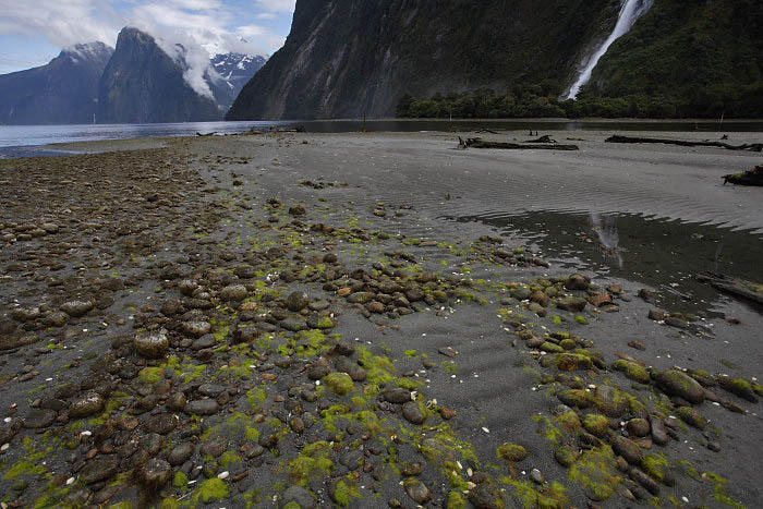 Milford Sound