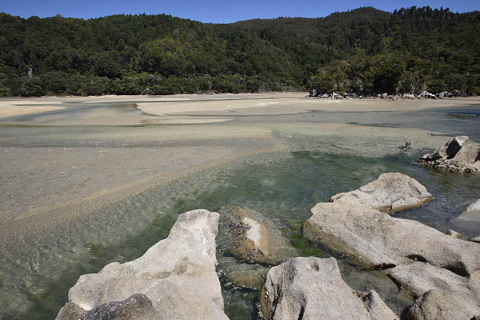 Abel Tasman