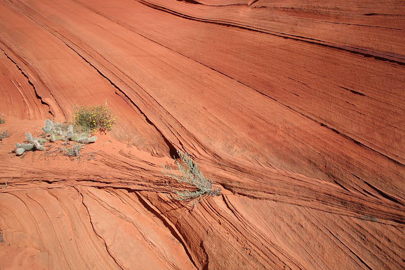 Coyote Buttes South, Paw Hole