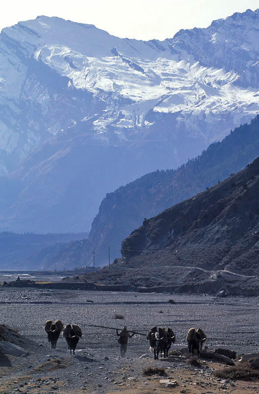 Jomsom Trek