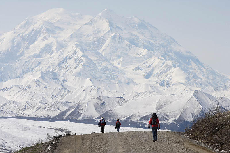 Denali National Park