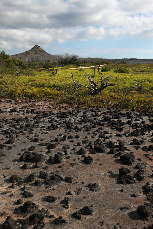 Trail to Dragon Hill, Santa Cruz Island