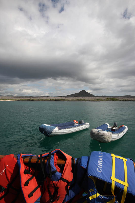 Preparing the trip to Venice and Dragon Hill, Santa Cruz Island