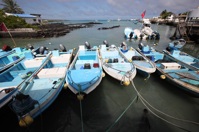 Puerto Ayora, Santa Cruz