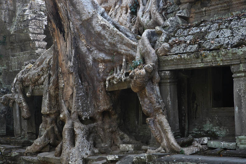 Preah Khan