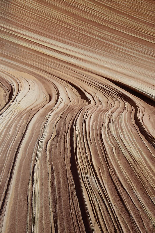 The Wave
