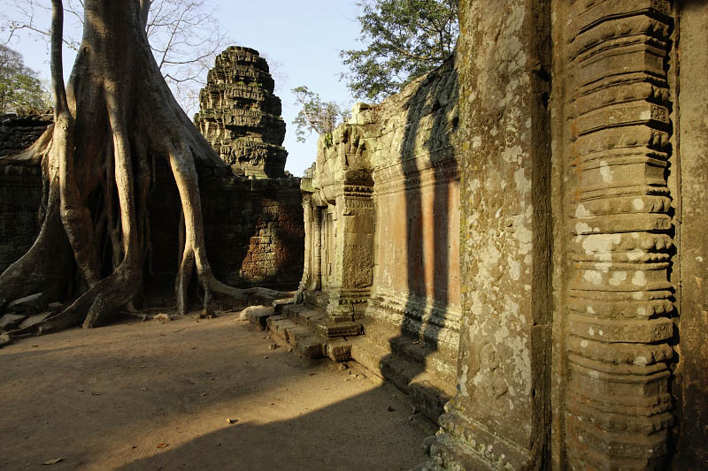 Ta Prohm