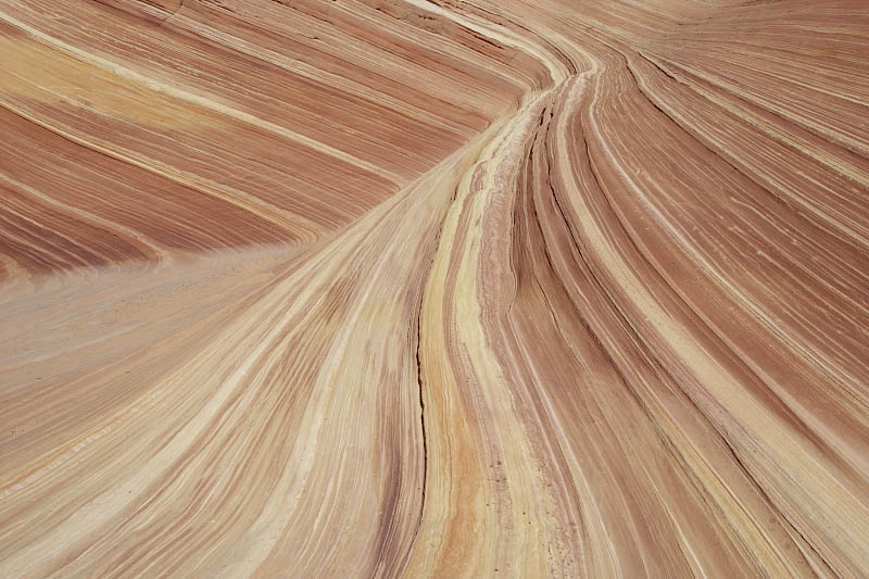 The Wave