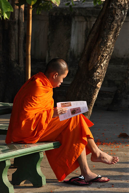 Reading at Wat Saen