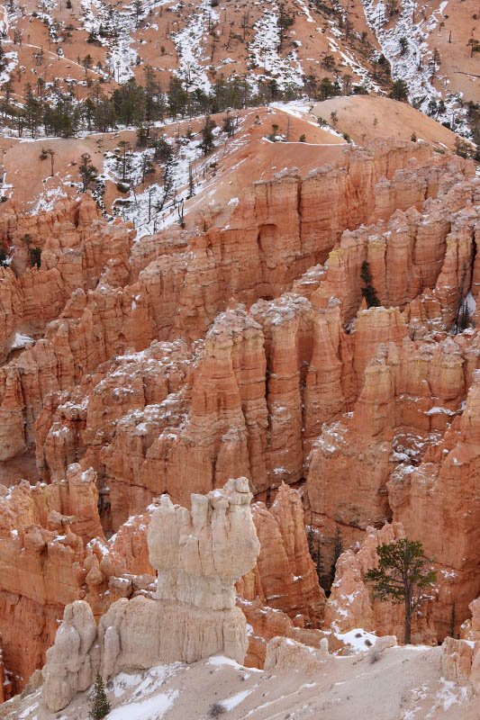 View from Bryce Point