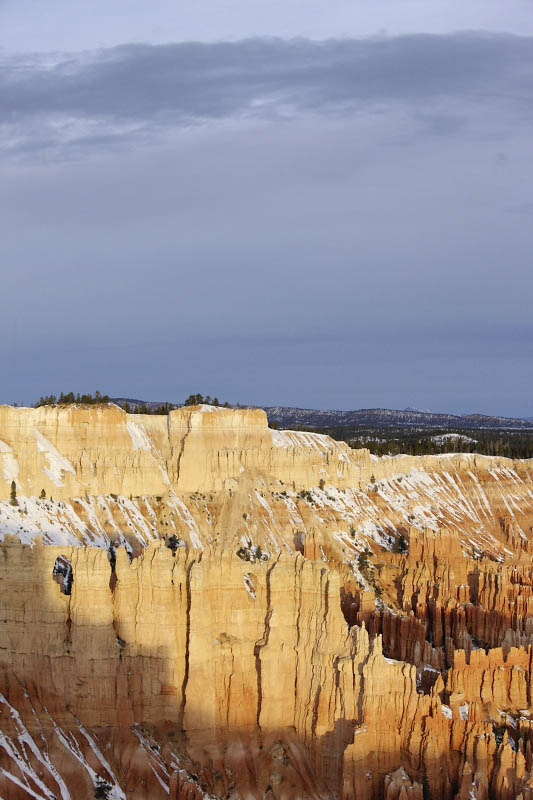 View from Bryce Point