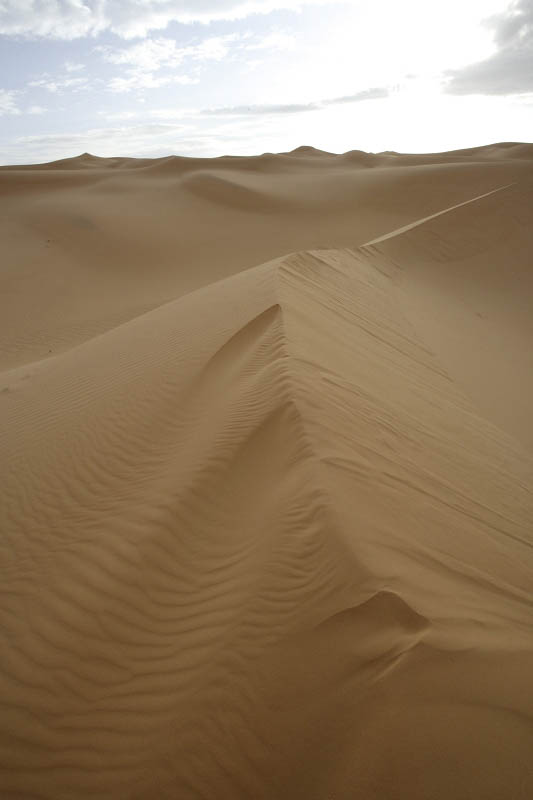 Early morning at the desert