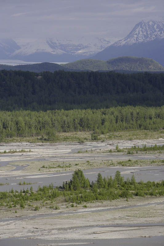 On the way to Matanuska Glacier
