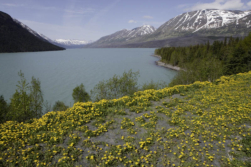 From Seward to Ninilchik