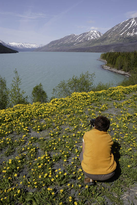 From Seward to Ninilchik