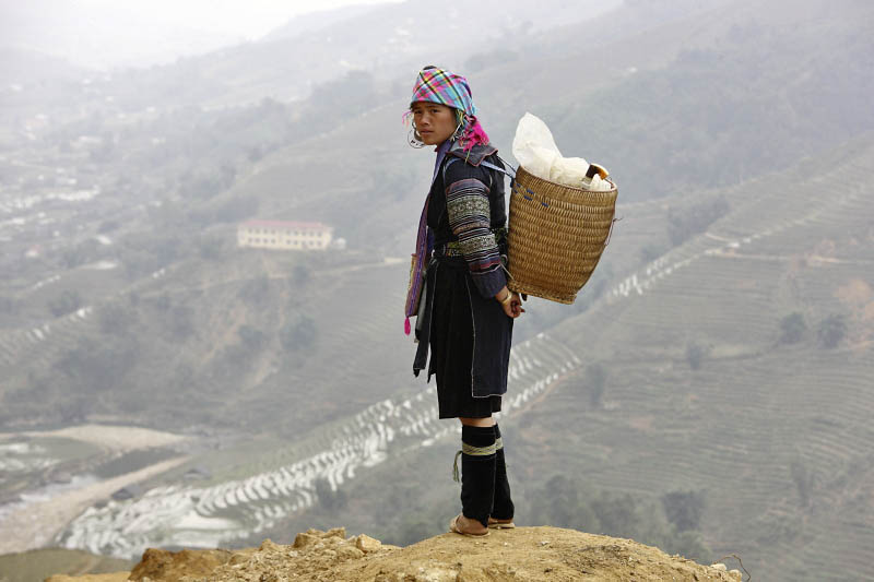 Sapa