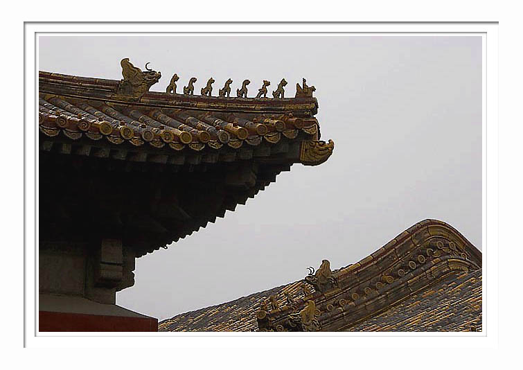Forbidden City - Roofs