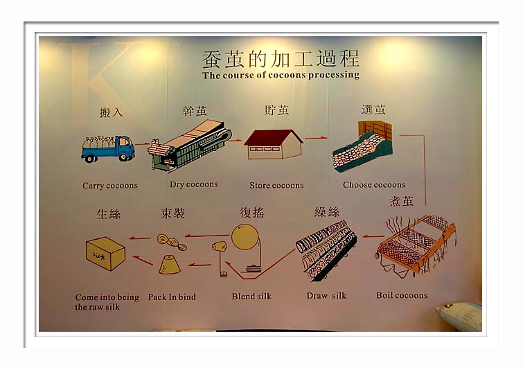 Silk Factory - Diagram Of Cocoons Processing