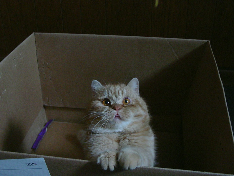 Just arrived, Mortie has his first look at us.