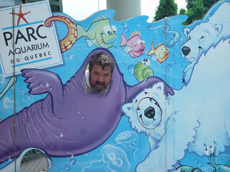ECLECTIC EXPERIENCES ON THE WAY TO NEWFOUNDLAND