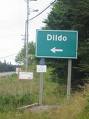 ROAD TO DILDO