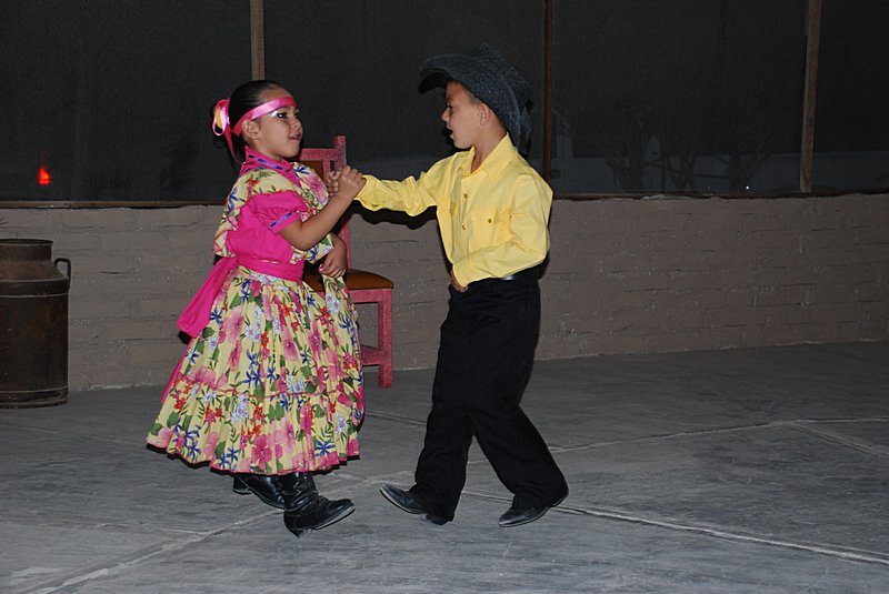 THE CALIFORNIA BAJA PART II-WHALES TALES, FISH TACOS, MACHINE GUNS LOOM, DANCES, DOGS AND DESERT BLOOMS