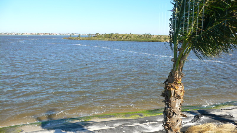 View from the condos rear screened porch