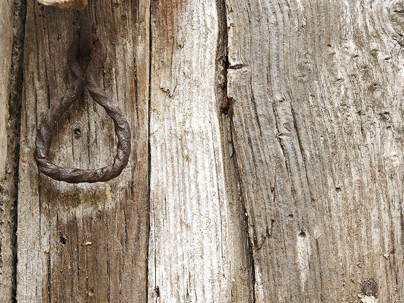 Vieja puerta / Old door