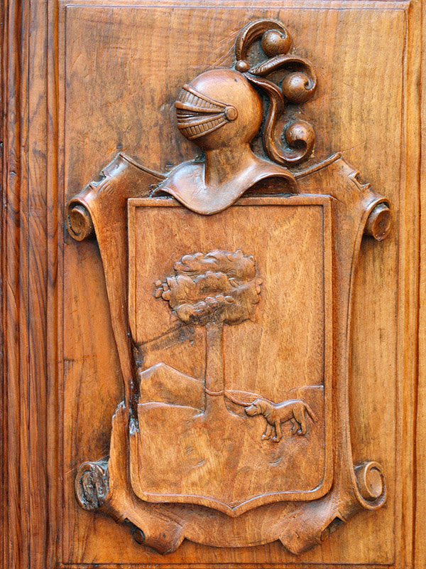 Shield in a door / Escudo en una puerta
