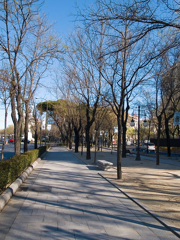 Paseo de la Castellana