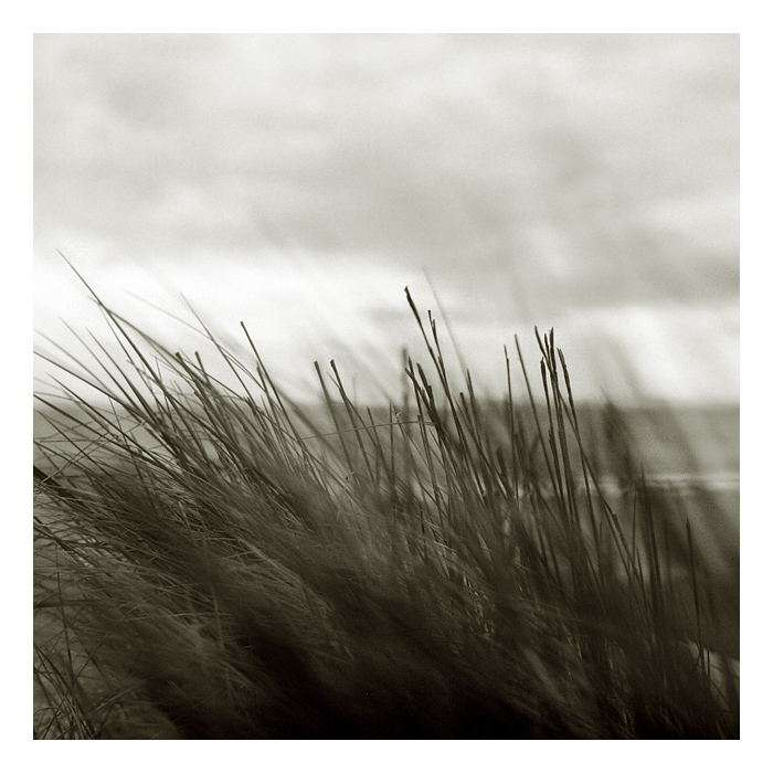 wandering around in desperation