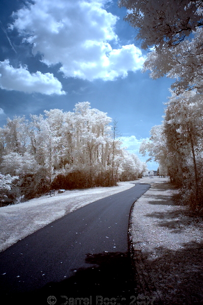 DSC_1683ab.jpg