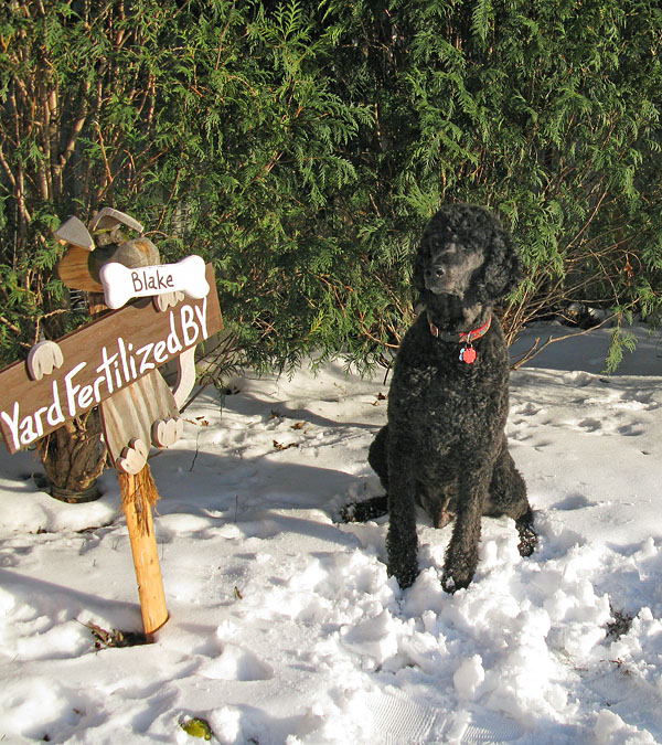 Blake, a former champion of winter games, next to his trophy